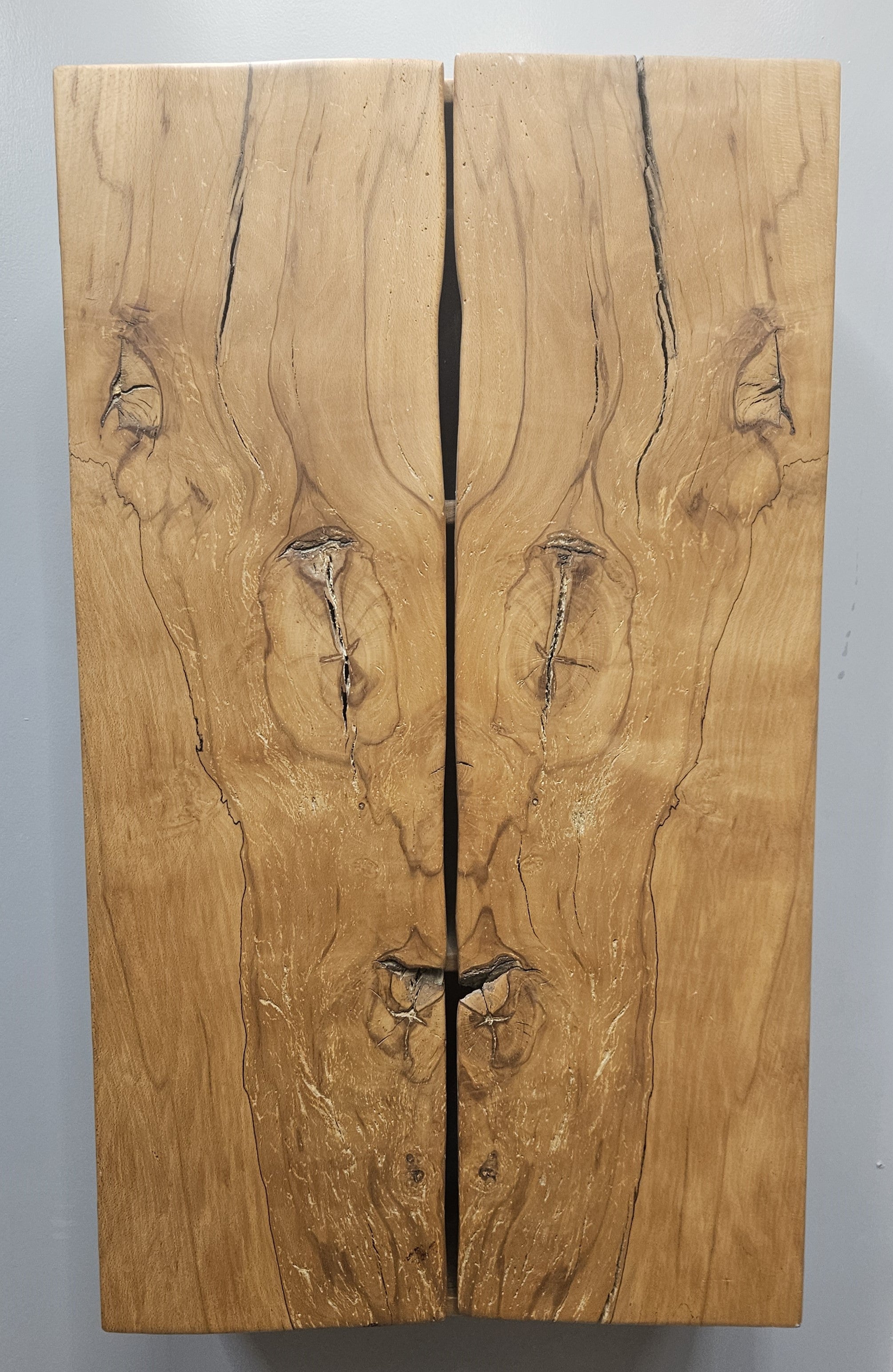 Spalted Beach cupboard/cabinet