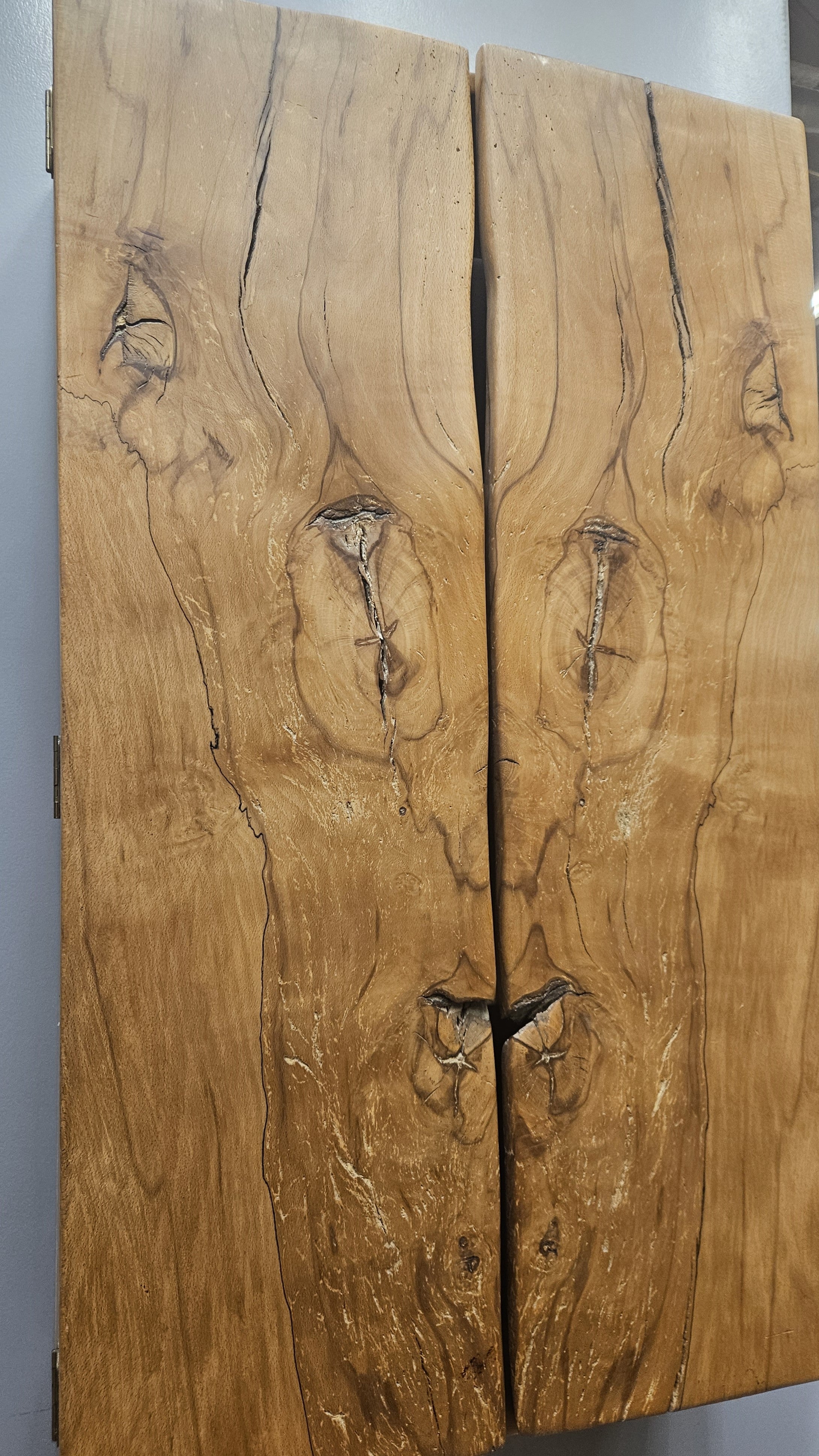 Spalted Beach cupboard/cabinet